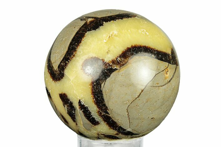 Polished Septarian Sphere - Madagascar #260032